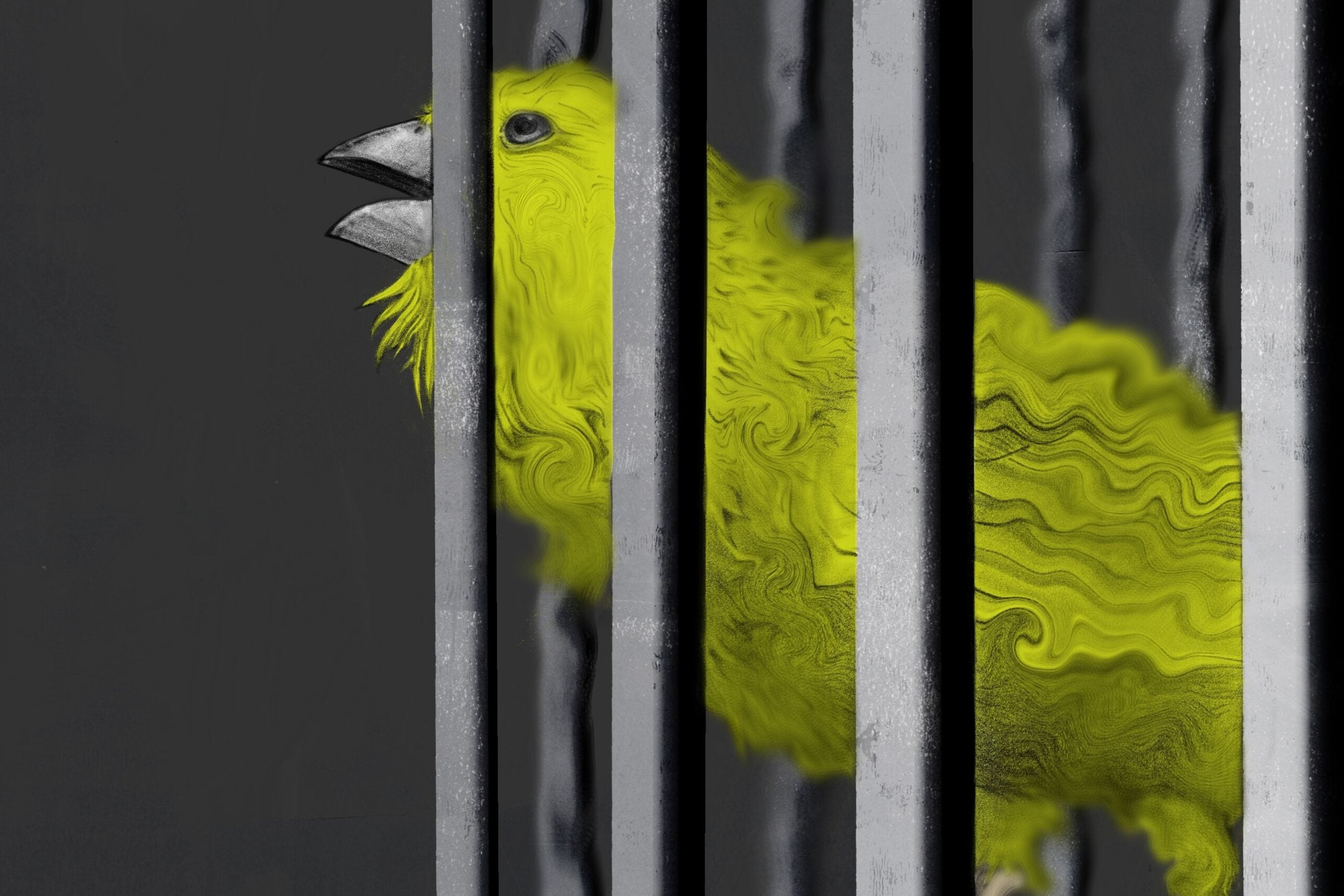 A canary trapped in a cage.