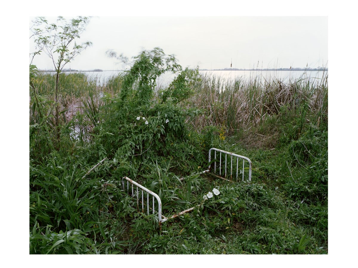 Photograph of a bench overgrown with grass by Alec Soth / Magnum